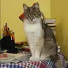 Отзыв от Прасковья Кукушкина